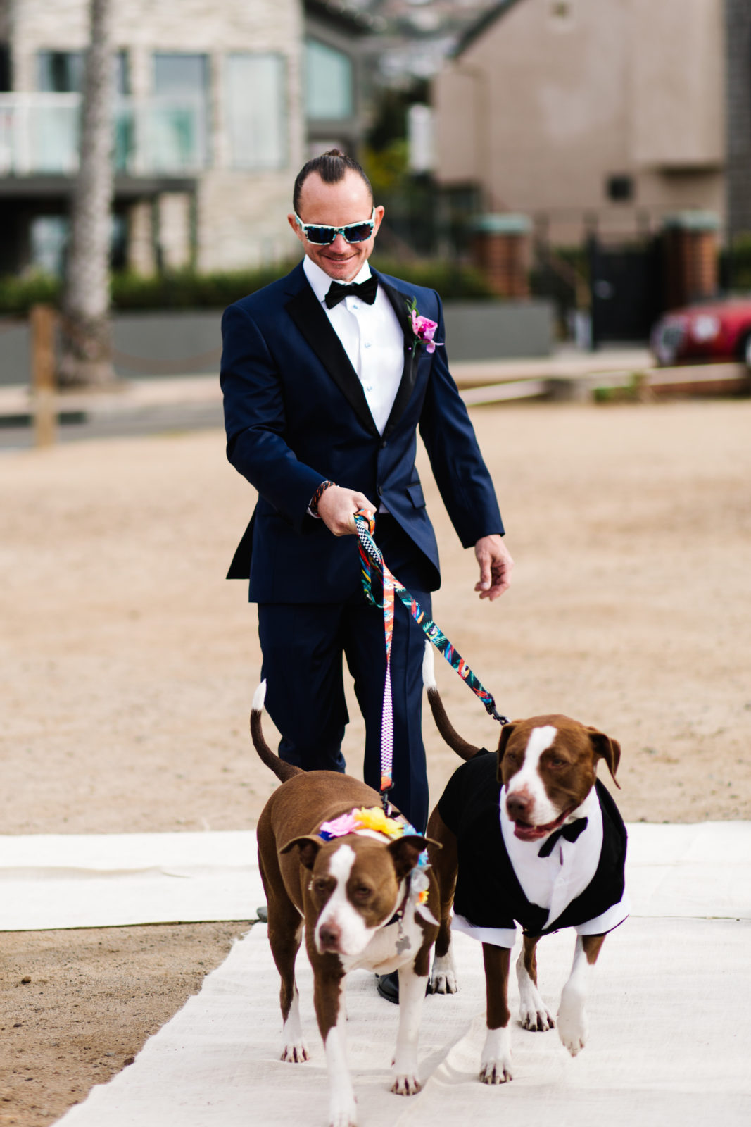 groom walking down aisle with two dogs at sunset cliffs wedding