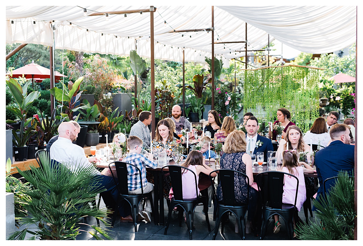wedding reception at greenhouse