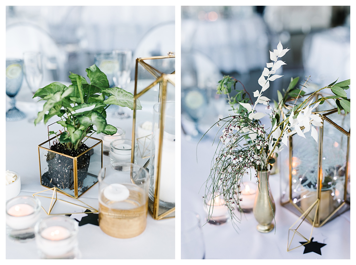 wedding centerpieces with plants and gold accents